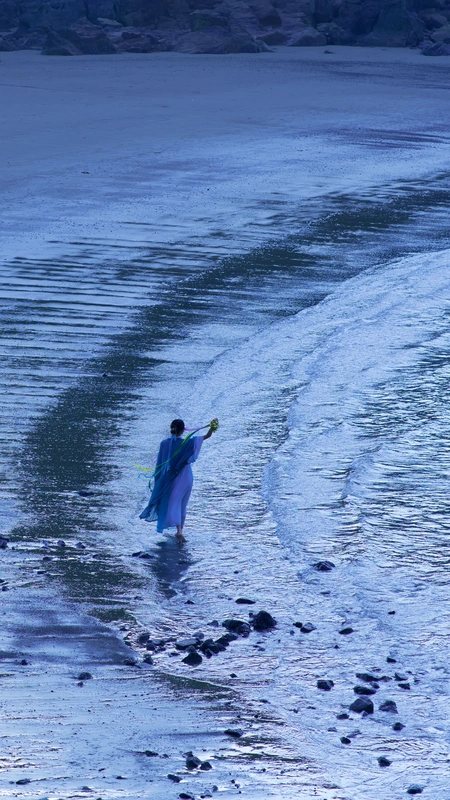 无妄海 - 兔子zzz不吃胡萝卜